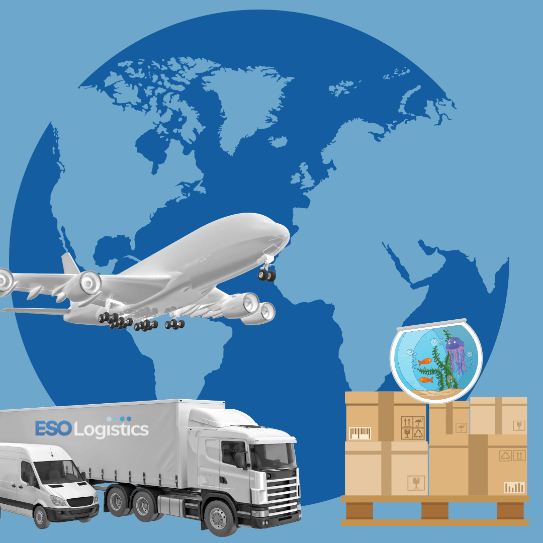 Alongide Sea Freight Services UK, ESO logistics provides delivery of parcels, delivery of live fish, shipping to Ireland and other services